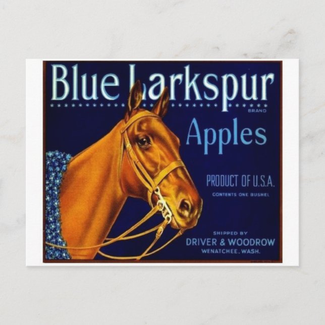 Carte postale vintage du Étiquette Crate (Devant)