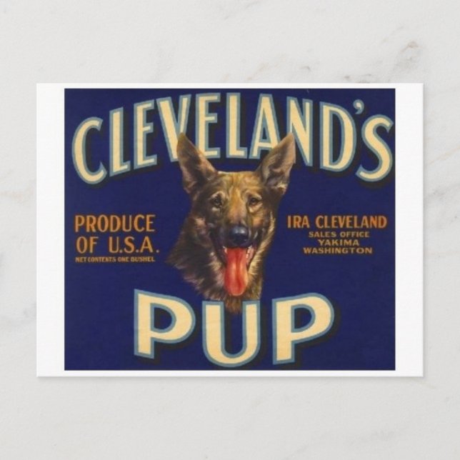 Carte postale vintage du Étiquette Crate (Devant)