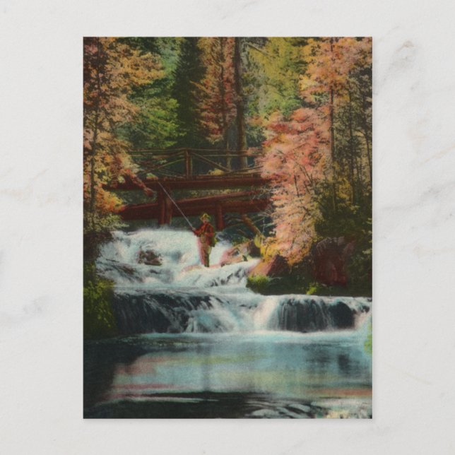 Carte postale Vintage du pêcheur de Black Hills (Devant)