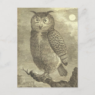 Carte postale vintage effrayante de hibou aigle po
