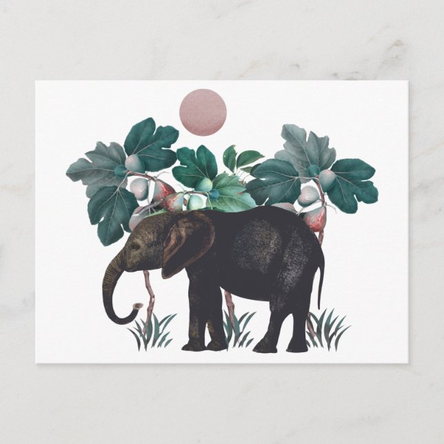 Carte Postale Vintage Elefant (Devant)
