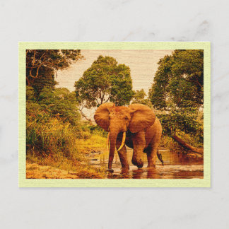 Carte postale vintage Eléphant africain