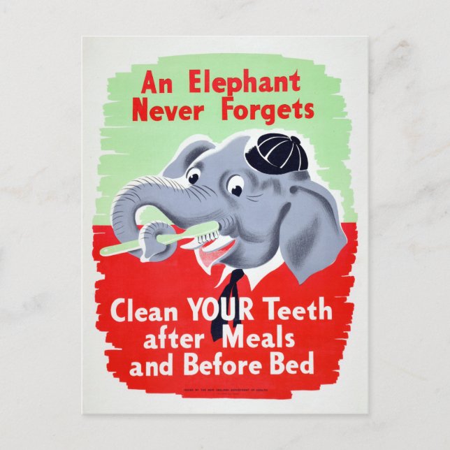 Carte Postale Vintage Elephant Dentist Broncent vos dents (Devant)