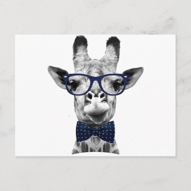 Carte Postale Vintage et drôle Giraffe (Devant)