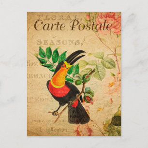 Carte Postale Vintage Exotique Tropical Toucan Bird Floral Franç