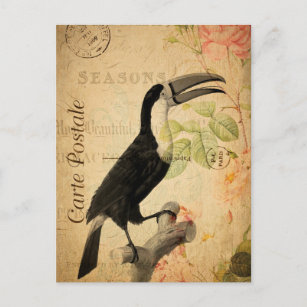 Carte Postale Vintage Exotique Tropical Toucan Bird Floral Franç