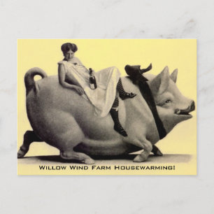 Carte Postale Vintage Farm Ranch Amusants PC domes