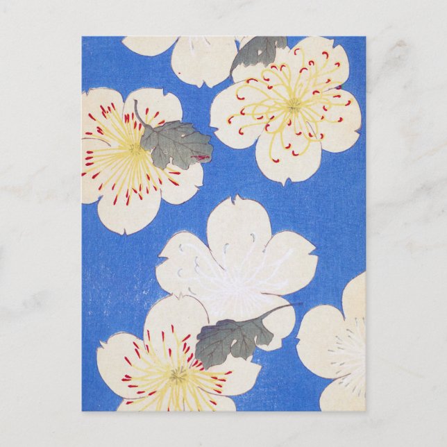 Carte Postale Vintage floral (Devant)