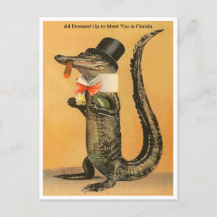 Carte Postale Vintage Florida Alligator habillé Voyage