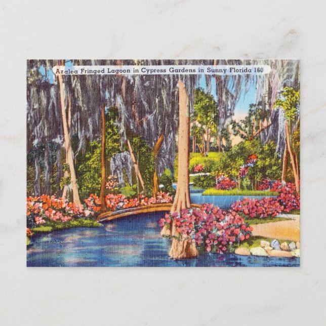 Carte postale vintage Florida Cypress Gardens Trav (Devant)