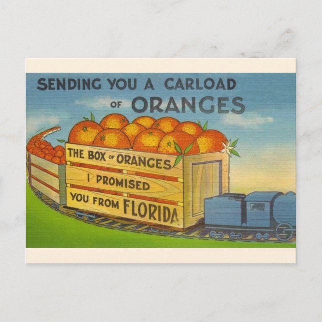 Carte postale vintage Florida Oranges (Devant)