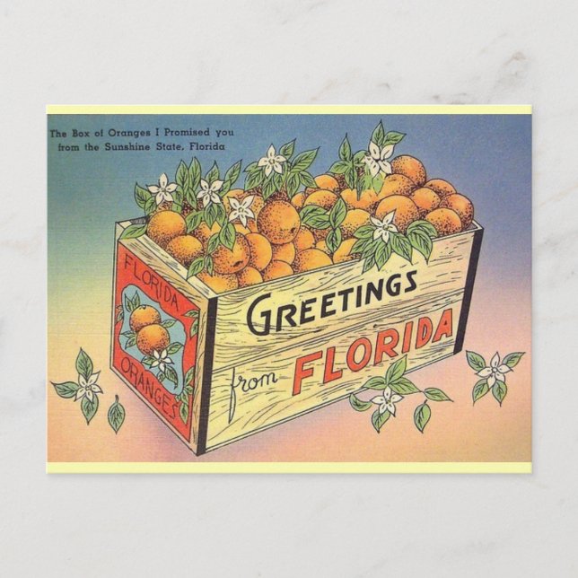 Carte postale vintage Florida Oranges (Devant)