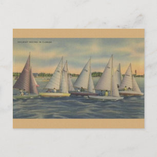Carte postale vintage Florida Sailboat Racing