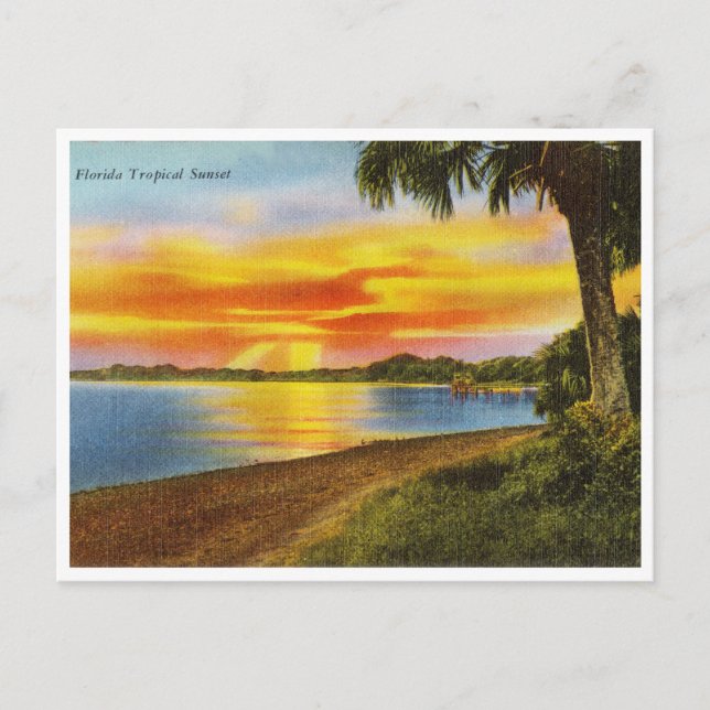 Carte postale vintage Floride Tropical Sunset Trav (Devant)