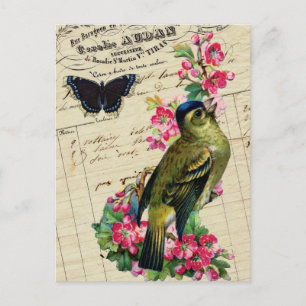Carte Postale Vintage Français Chic Spring Bird Collage