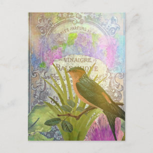 Carte Postale Vintage Français Collage d'oiseaux Étiquette de pa