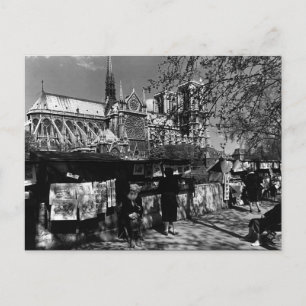 Carte Postale Vintage France Paris Dame Librairies