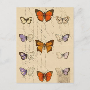 Carte Postale Vintage French Chic Butterflies Motif