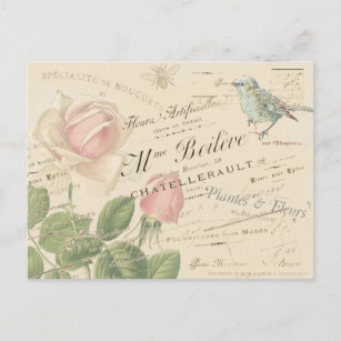 Carte Postale Vintage French Rose Rose Blue Bird Bee Collage