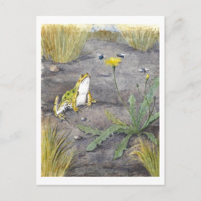 Carte Postale Vintage Frog and Dandelion (Devant)