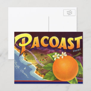 Carte Postale Vintage Fruit Crate Art Étiquette, Oranges Pacoast