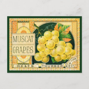 Carte Postale Vintage Fruit Crate Art Étiquette, Raisins de Masc