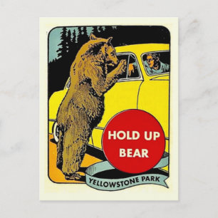 Carte Postale Vintage Fun Yellowstone Park