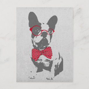 Carte Postale Vintage Funny French Bulldog
