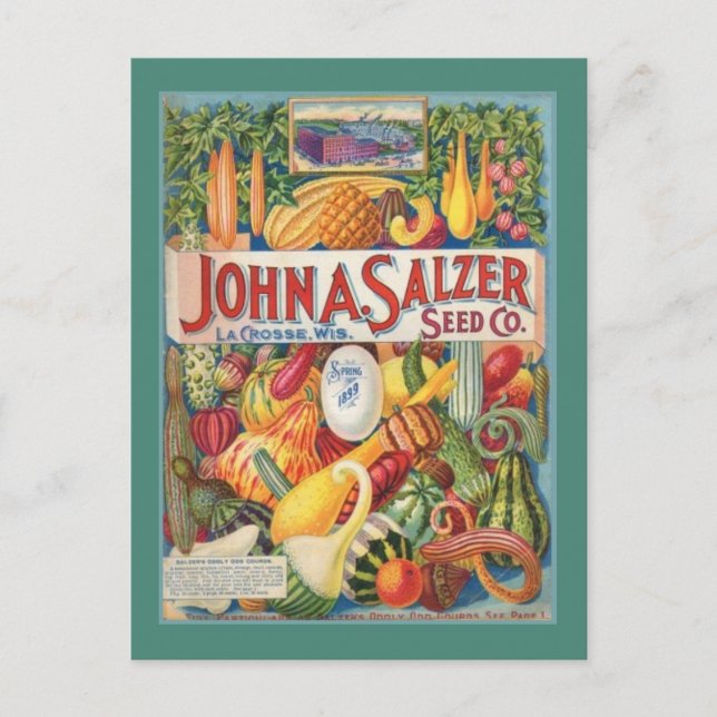 Carte Postale Vintage Garden Seed Packet Post Card (Devant)