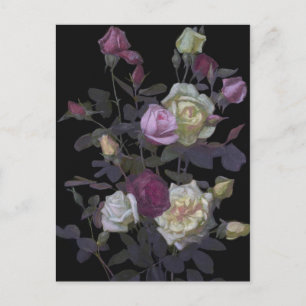 Carte Postale Vintage George Lambdin La vie morte avec des Roses