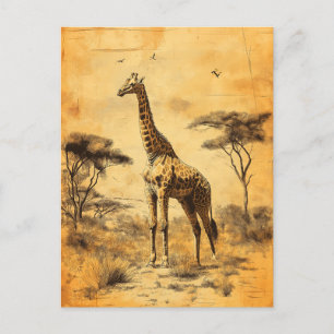 Carte Postale Vintage Giraffe Afrique du Sud Savanne Postcard