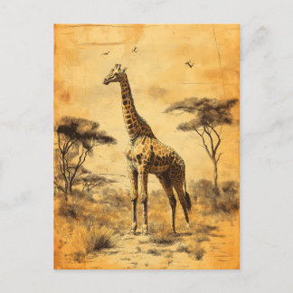 Carte Postale Vintage Giraffe Afrique du Sud Savanne Postcard