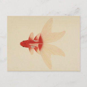 Carte postale vintage Gold Fish