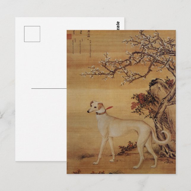 Carte Postale Vintage Greyhound Blanc Sous Les Fleurs (Devant / Derrière)