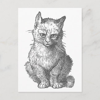 Carte Postale Vintage Grumpy Cat Design