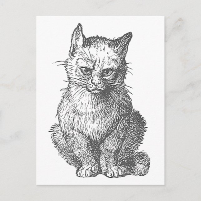 Carte Postale Vintage Grumpy Cat Design (Devant)