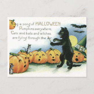 Carte Postale Vintage Halloween Black Cat Mice Mouse Postcard