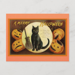 Carte Postale Vintage Halloween Chat noir Citrouille poème victo