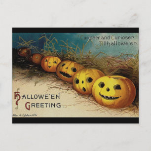 Carte Postale Vintage Halloween Jack O Lanterns en champ