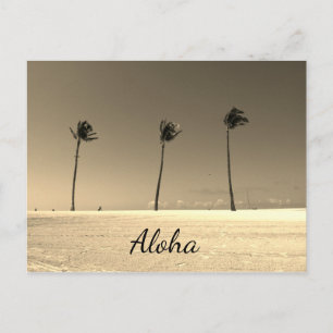 Carte Postale Vintage Hawaii Aloha