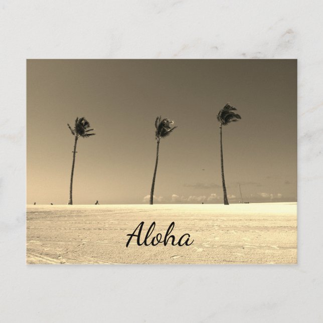 Carte Postale Vintage Hawaii Aloha (Devant)