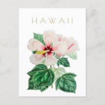 Vintage Hawaii État fleur Voyage du milieu du sièc