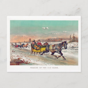 Carte Postale Vintage hiver Sleigh