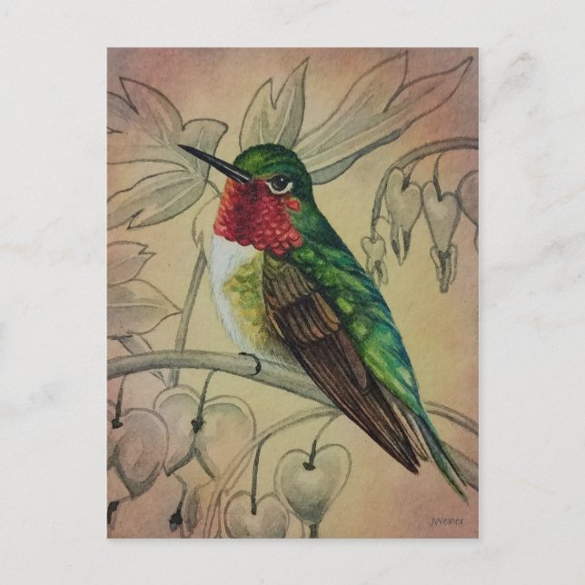 Carte Postale Vintage Hummingbird No 4 Aquarelle Art (Devant)
