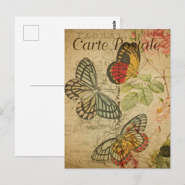 Carte Postale vintage, Illustration Papillons (Devant / Derrière)