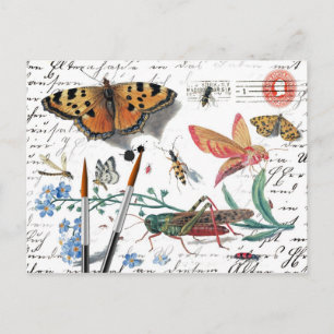 Carte Postale Vintage Insect Letter and postmark