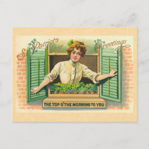 Carte Postale Vintage Irish Top o' the Morning Postcard