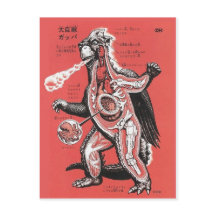 Carte postale vintage japonais Cutaway Monster