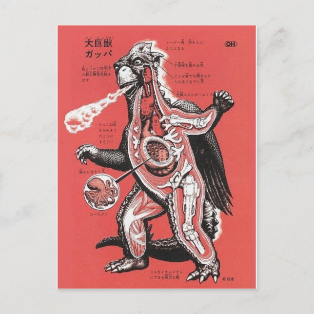 Carte postale vintage japonais Cutaway Monster (Devant)