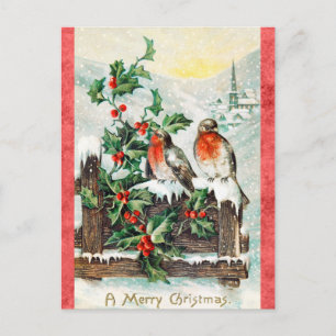 Carte Postale Vintage Joyeux Oiseau de Noël Holly Neige